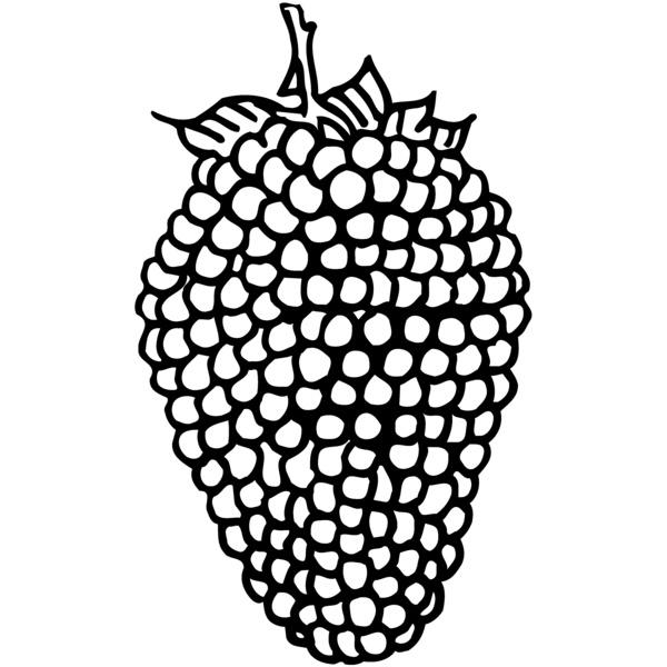 FRUIT003 Thumbnail