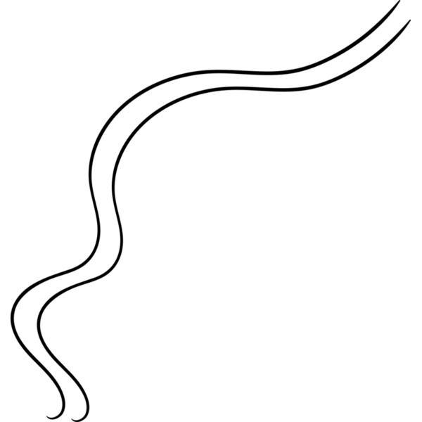 Abstract Curved Line Thumbnail