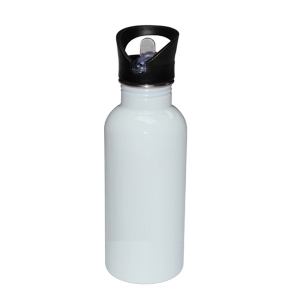 Stainless Bottle with Straw Top Thumbnail